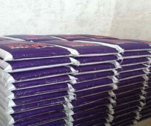 盛世家博：揭秘家装隐蔽工程之油工篇